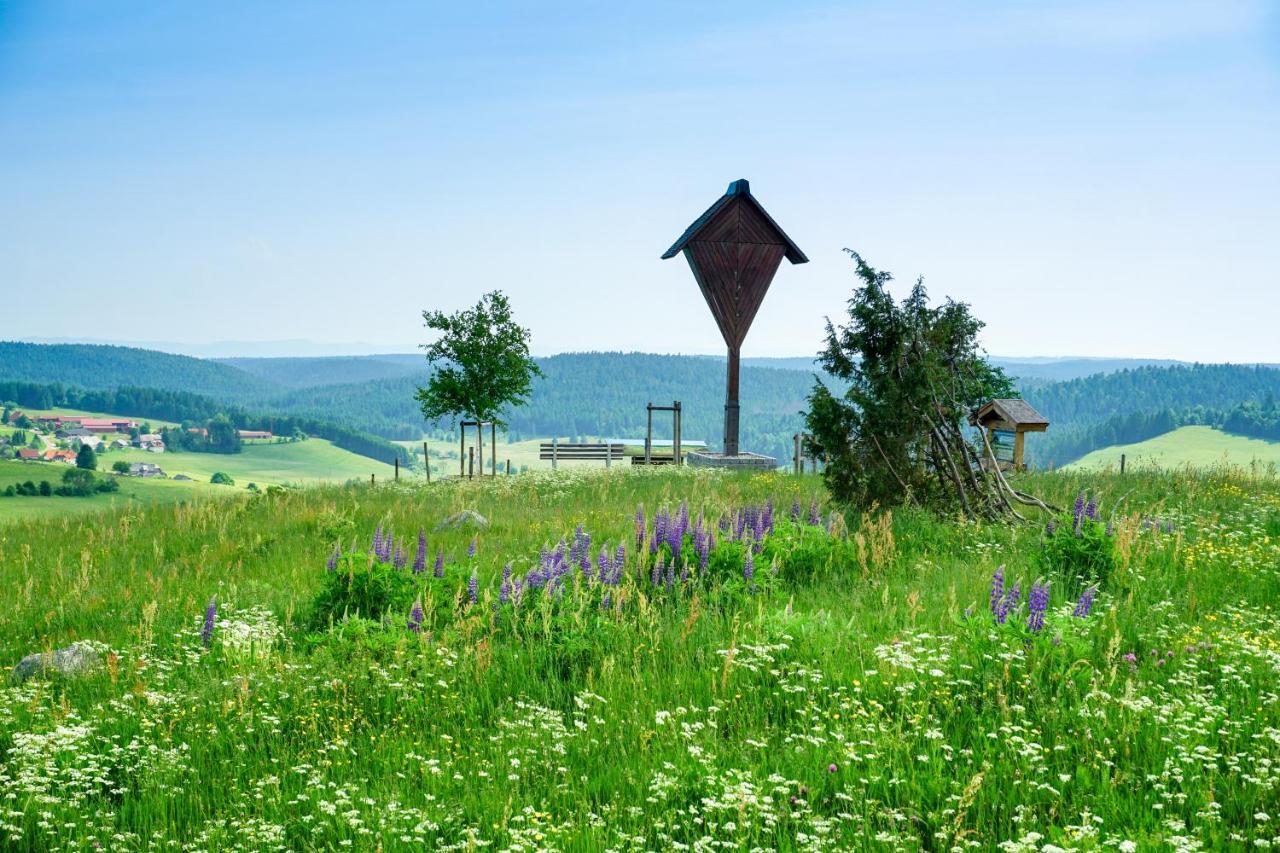 Hubertus Lodge Ibach 외부 사진